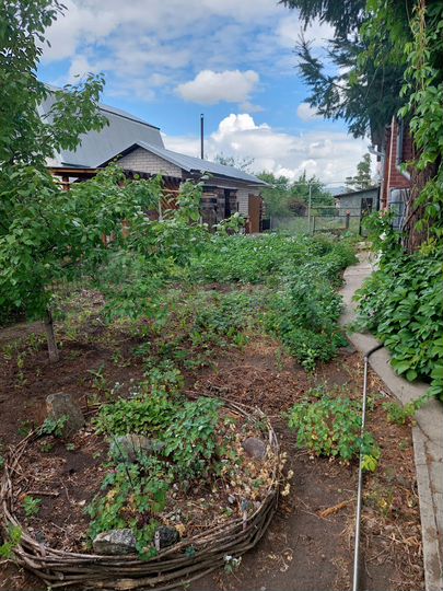 Коттедж 233 м² на участке 14,5 сот.