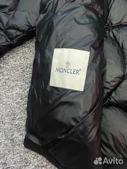 Куртка moncler spider