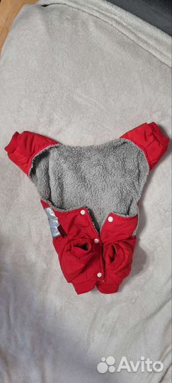 Одежда для собак