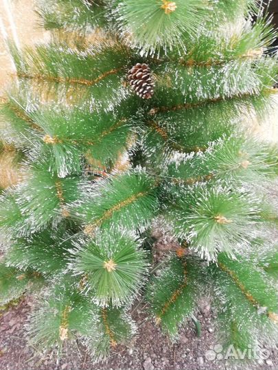 Елка искусственная бу