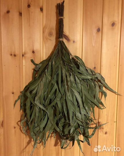 Эвкалиптовый веник Абхазия