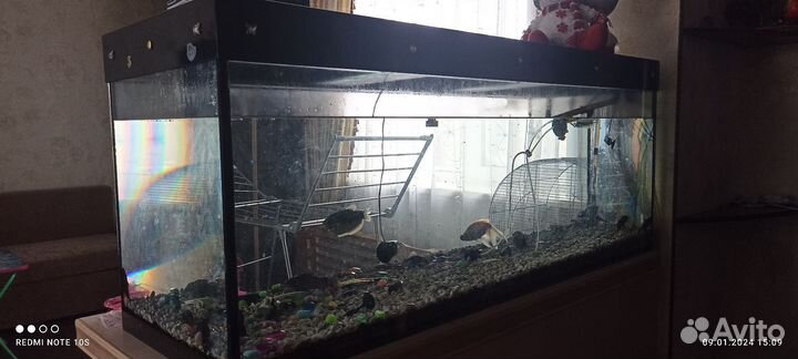 Аквариум с рыбками бу