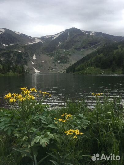 Красная гора. Автоэкскурсии, автотуры Алтай