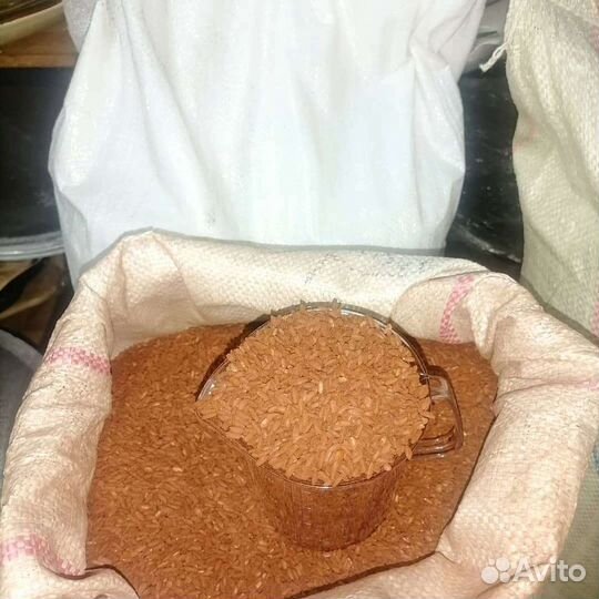 Рис Девзира, Лазер, Аланга, Хлопковое масло