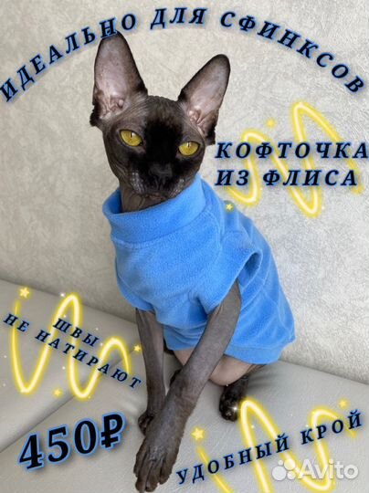 Одежда для сфинксов и собак маленьких пород