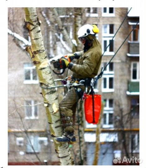 Удаление деревьев