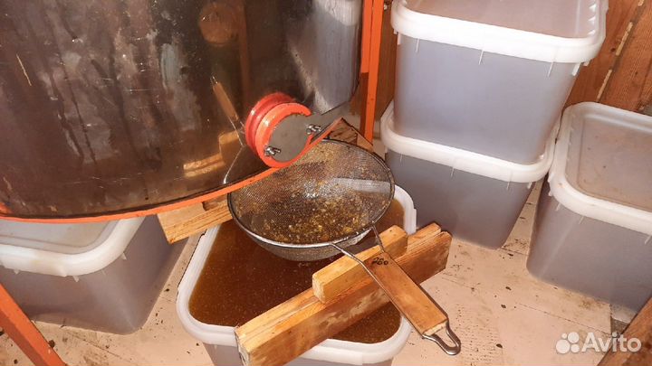 Мёд качки 2023 года