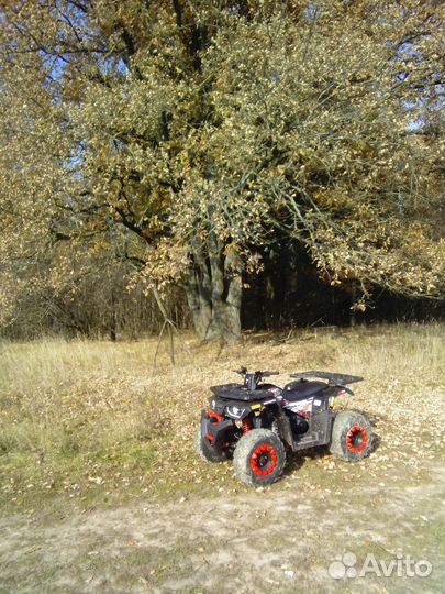 Квадроцикл