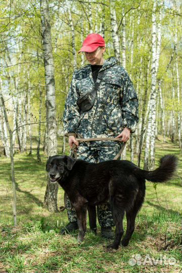 Собака из приюта ищет свой дом