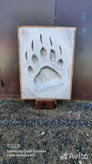 Отпечаток лапы медведя