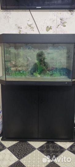 Аквариум juwel 180