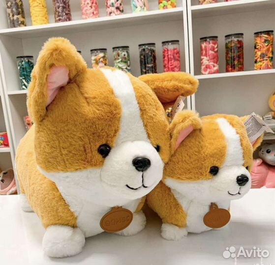 Корги пушистый 60см