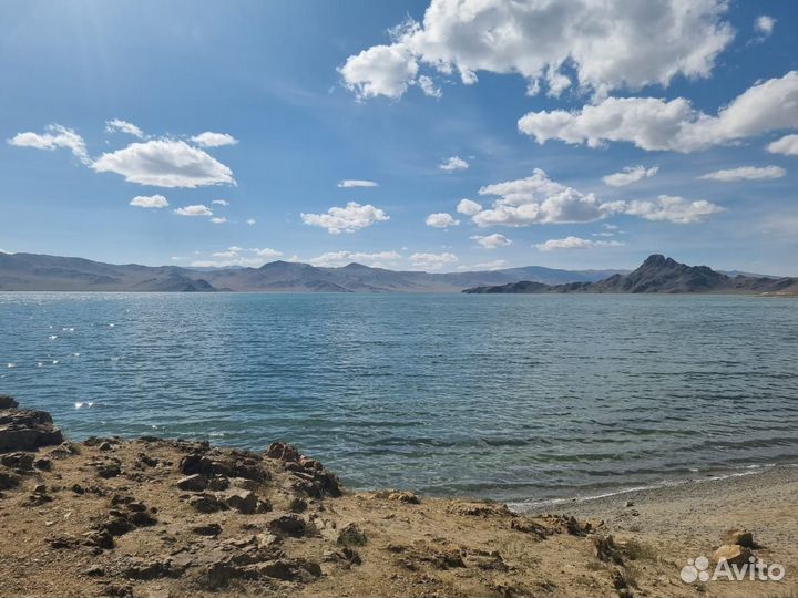 Экскурсии по Монголии