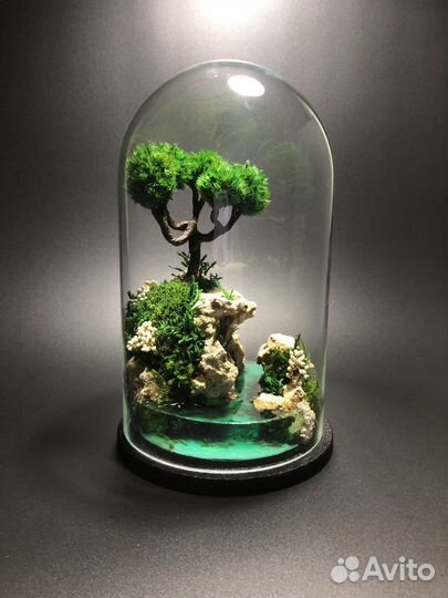 Моссариум - флорариум