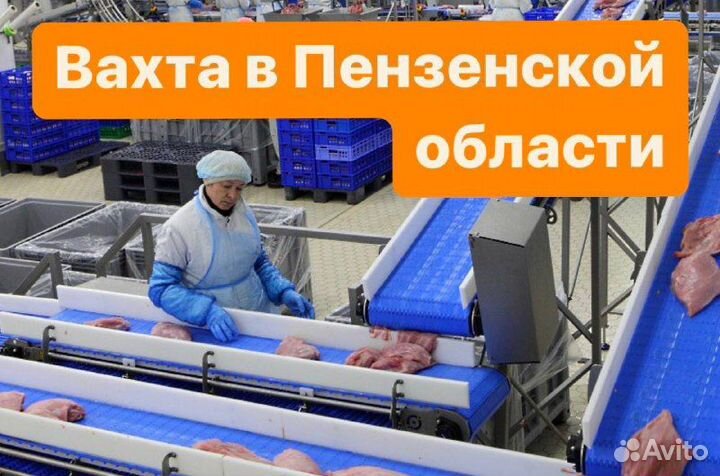 Вахта в Пензе оплатим проезд