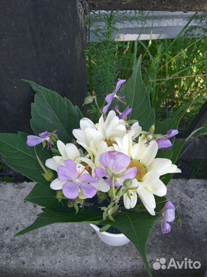 Букет ромашки хризантемы