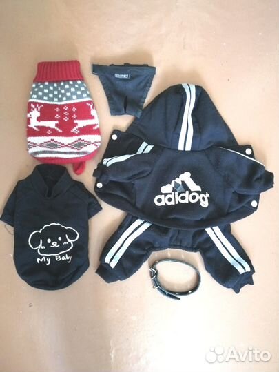 Одежда аксессуары для собачки