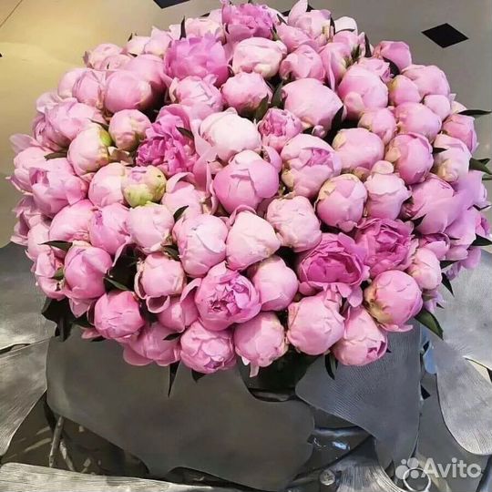 Пионы цветы букеты доставка