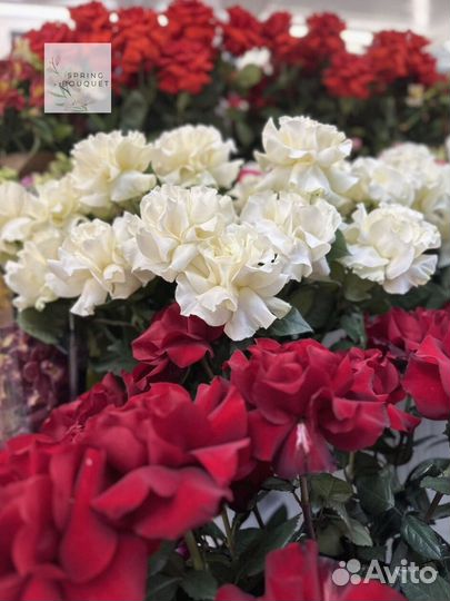 Букет цветы 101 роза