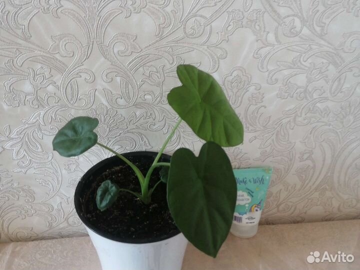 Декор для интерьера