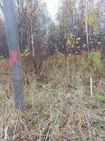 Участок 15 сот. (ИЖС)