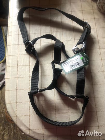 Амуниция для лошади и пони