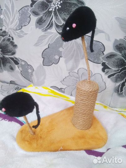 Когтеточка