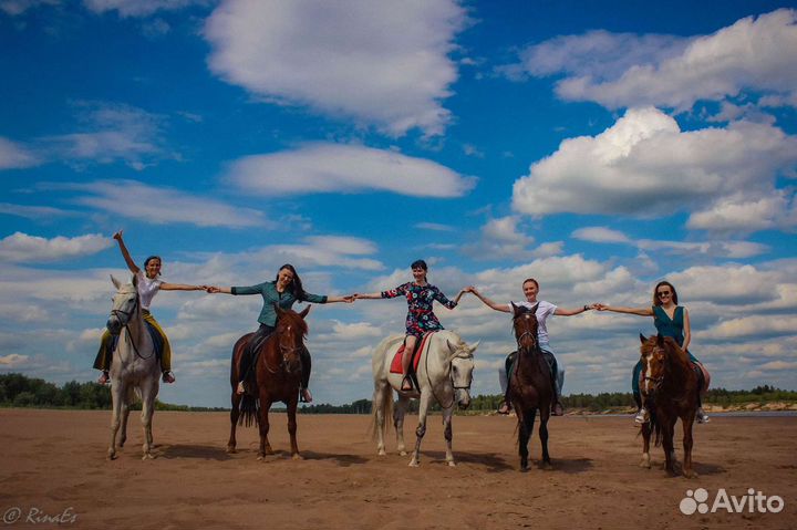 Конные прогулки,обучение верховой езде