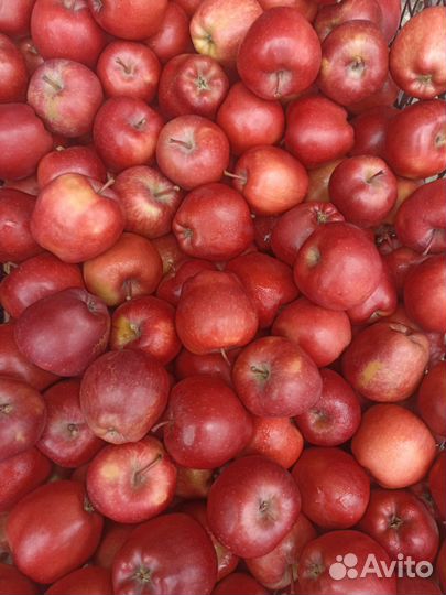 Яблоки