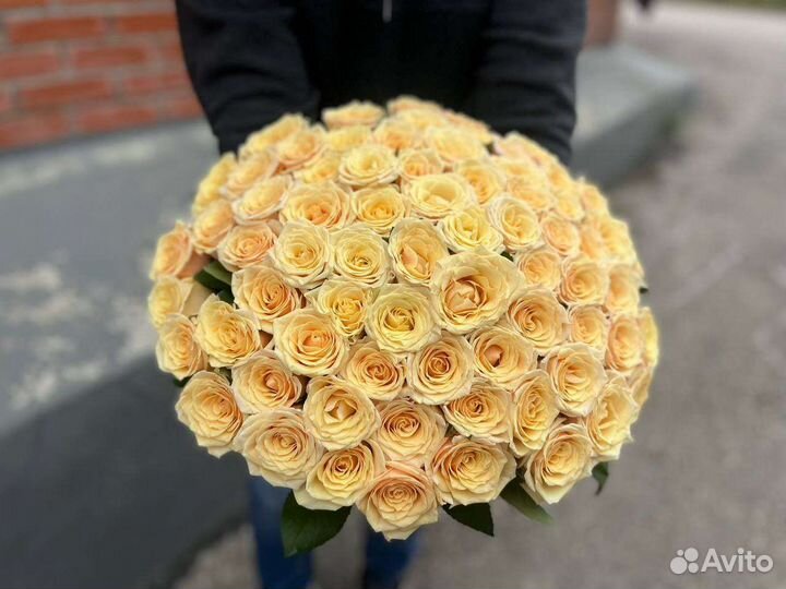 Кремовые ароматные розы. Букет 51 роза