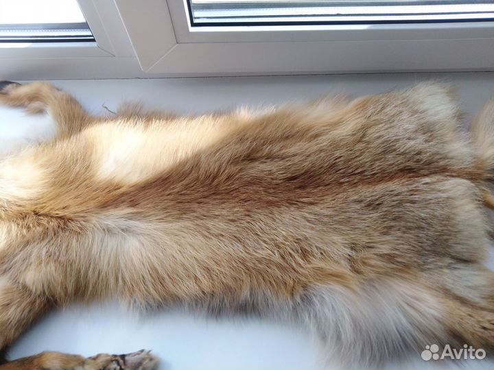 Шкура лисы