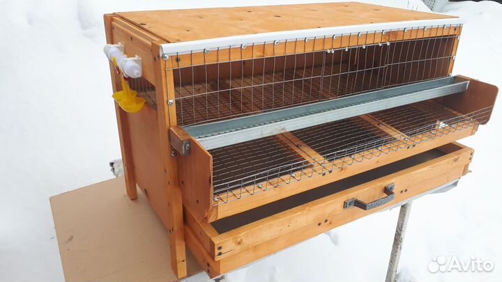 Клетка для перепелов