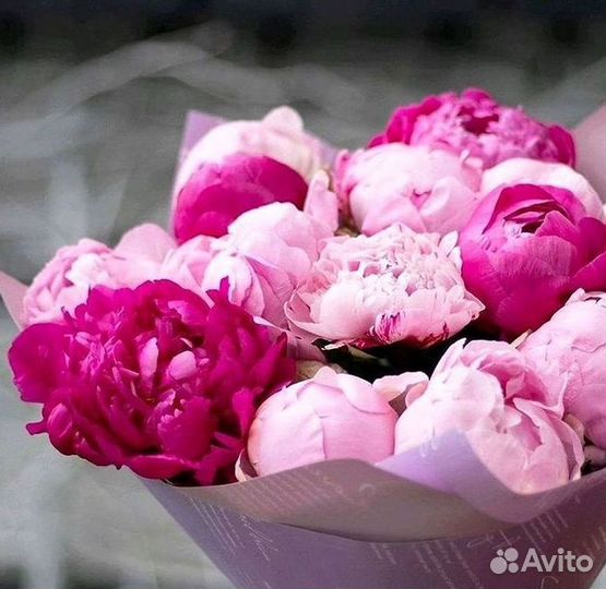 Пионы Цветы Доставка