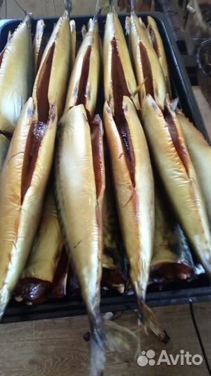 Скумбрия холодного копчения