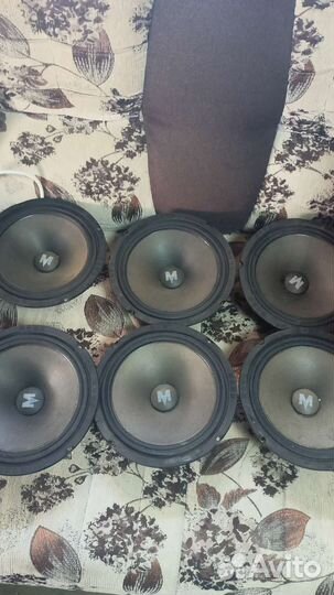 Динамики в авто