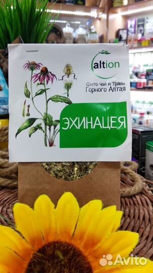 Эхинацея