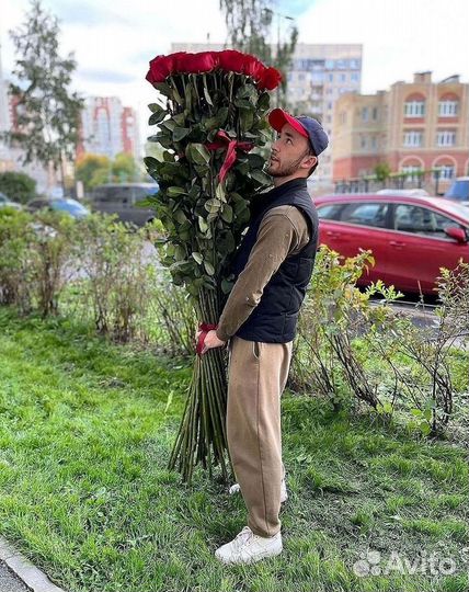 Высокие розы