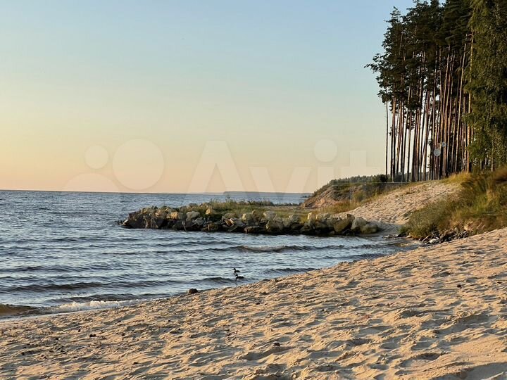 Участок 19 сот. (СНТ, ДНП)