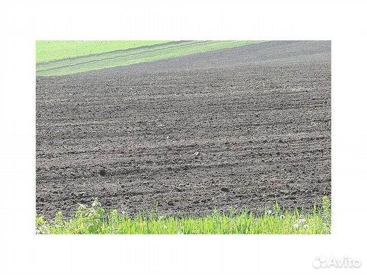 Земля для планирования участка Арт: Д-35.8