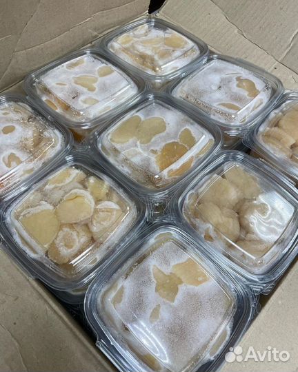 Морской гребешок