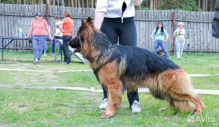 Открыт для вязок