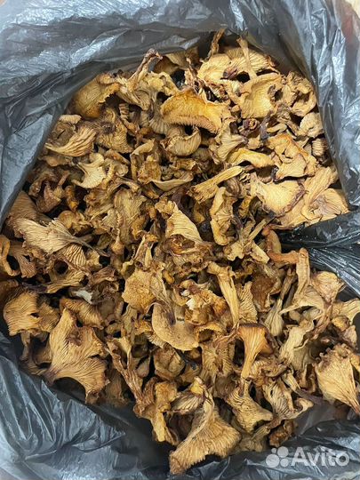 Сушеные грибы
