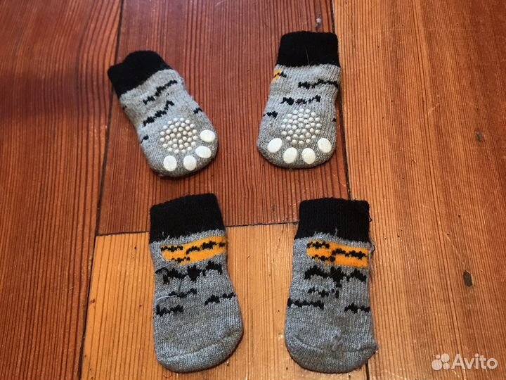 Ботинки для маленьких собак