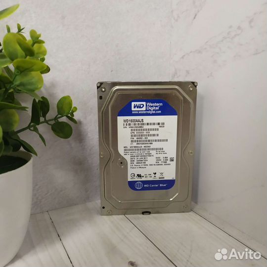 Жесткий диск Wd 160гб