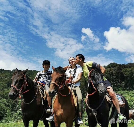 Экскурсия Конная прогулка (Адлер, Сочи)