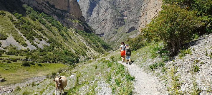 Индивидуальные экскурсии