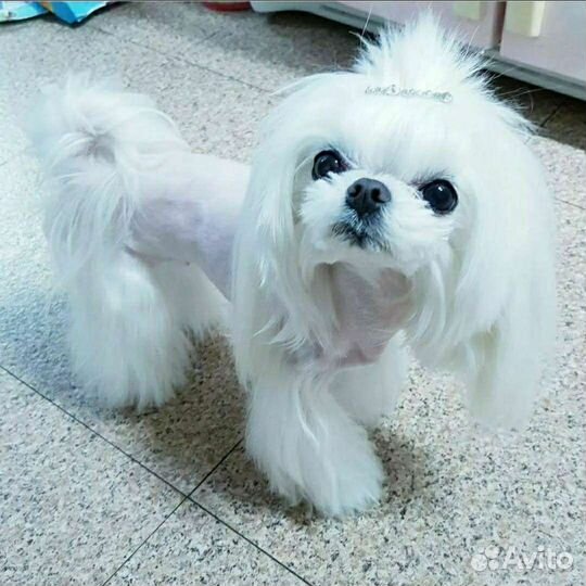 Микро девочки