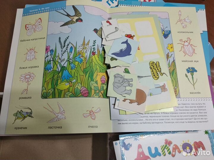 Школа семи гномов 2-3 года