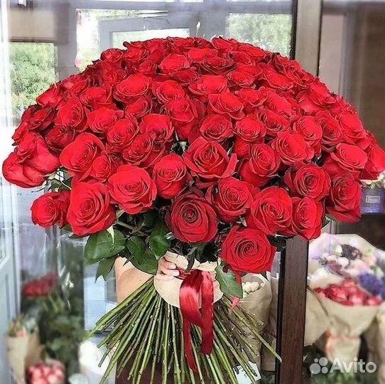 101 роза цветы букеты доставка 25 51 101 роза