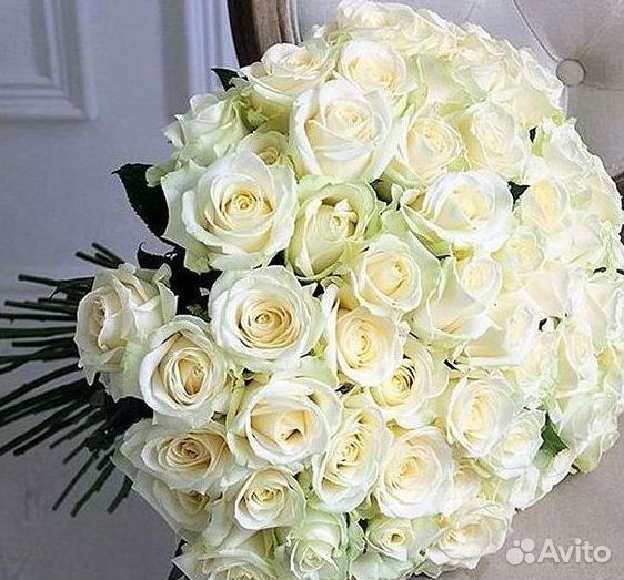 Высокие розы Гигантские розы Доставка цветов